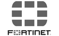 Fortinet › Techbleed Fortinet